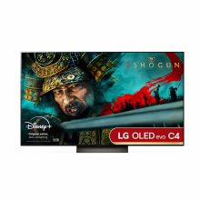 65C46LA_shogun.jpg